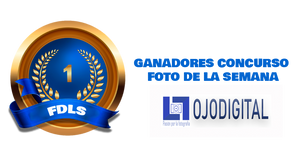 Ganadores de la FDLS del 28-11-2022 al 04-12-2022