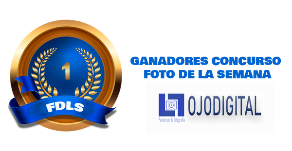Ganadores de la FDLS del 03-07-2023 al 09-07-2023